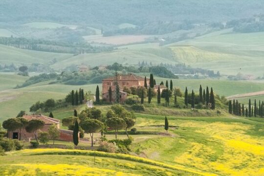 Val d Orcia Gourmet Food Tour from Siena
