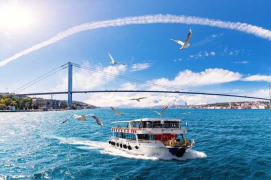 Private Tour All in One Day Istanbul with Bosphorus Cruise