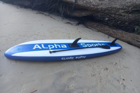 2 Hours Paddle Board Experience in Chaguaramas. Snorkeling also.