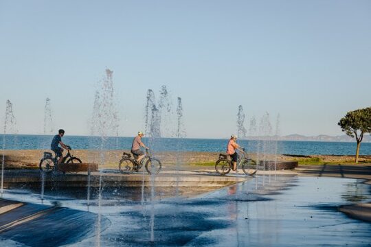 Cape Coast Wineries Self-Guided Scenic Bike Tour from Napier