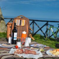 Day Trips & Excursions