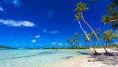 Pacific Paradise