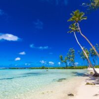 Full-day Tours