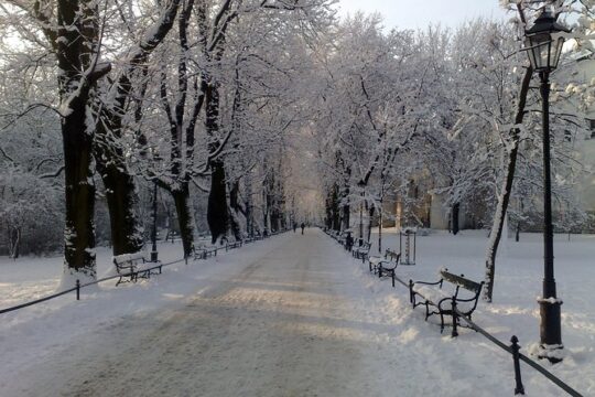 Krakow Old Town private walking tour
