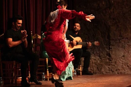 Old Tow Flamenco Show and Born Tapas Tour