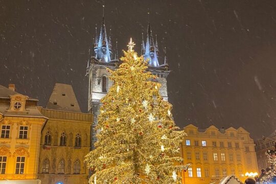 Private Christmas Walking Tour in Prague