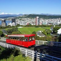 Holiday & Seasonal Tours
