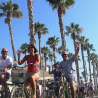 Self-guided Tours & Rentals
