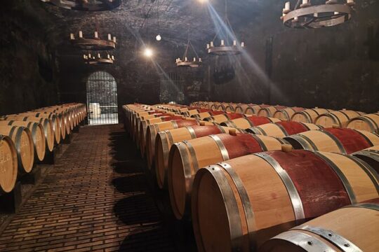 Chateauneuf du Pape and Luberon vineyard tour from Avignon