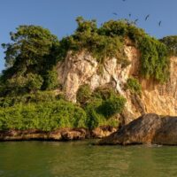 Tours & Sightseeing