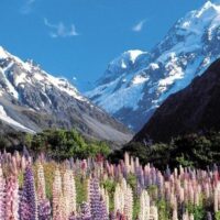 Multi-day & Extended Tours
