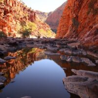Multi-day Tours