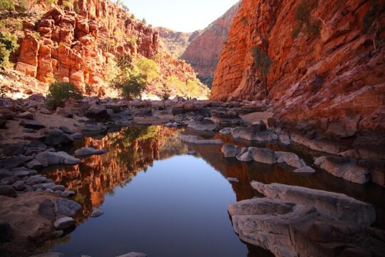3 night Uluru, Kata Tjuta and Kings Canyon Camping Adventure