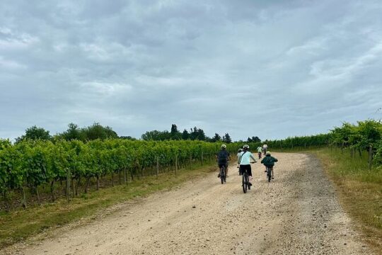 Chianti Classico Ebike Experience Tour and Wine Tasting