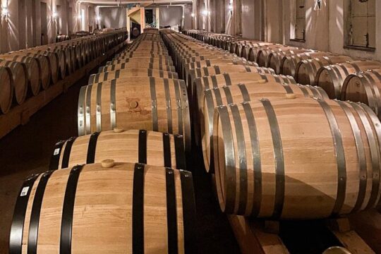 Private tour to discover the Langhe with a wine expert
