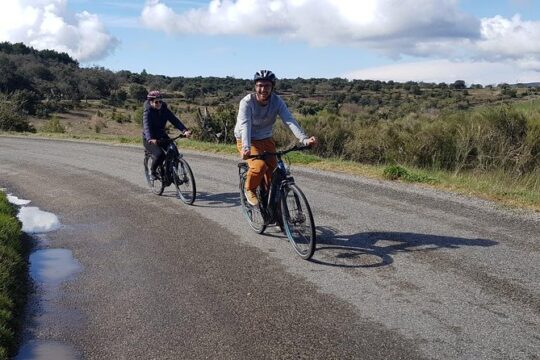 Electric bike rental - One day