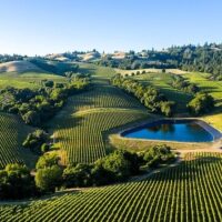 Day Trips & Excursions
