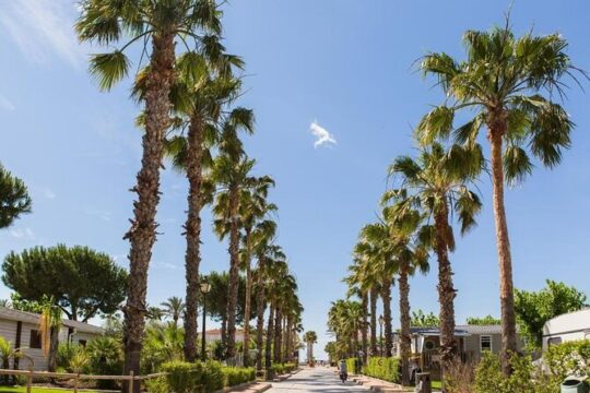 Private Transfer from Airport Barcelona to Coma-ruga