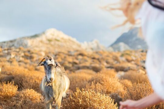 Private Crete Far West Adventure: Hiking, History & Beaches