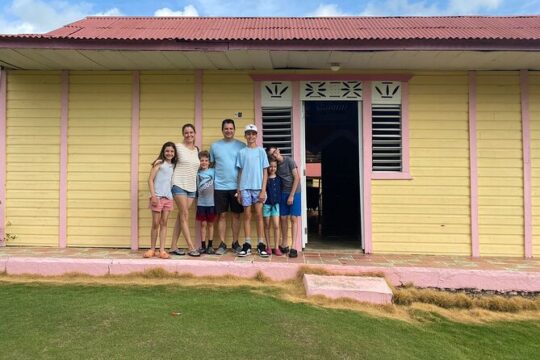 Shared Half-Day Tour in Punta Cana with Local Guide