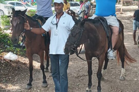 Private Horseback Riding From Falmouth