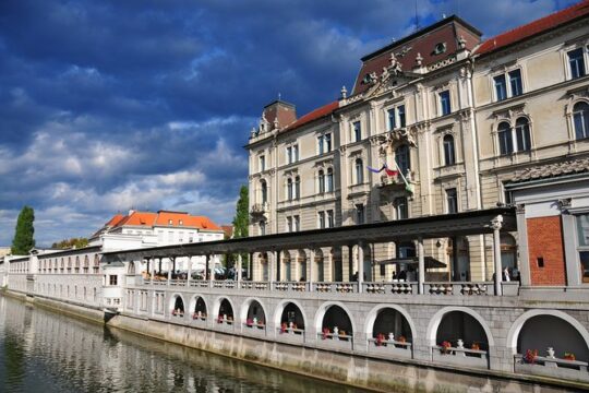 Private Walking Tour of Ljubljana Old Town