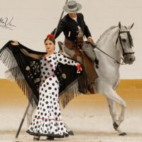 Flamenco