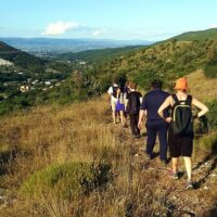 Plantation Tours