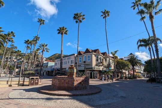 Catalina Scavenger Hunt Walking Tour and Game