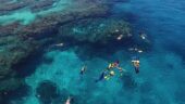 Beautiful island and beautiful people. Missed snorkelling first day but went next morning 🌸