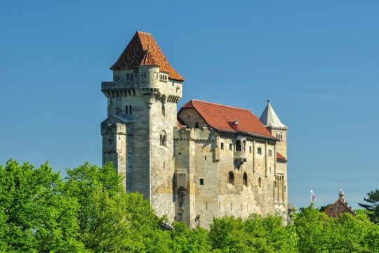 Vienna Woods Tour with underground lake and wine tasting