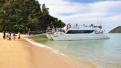 Abel tasman 