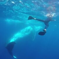 Cruises, Sailing & Water Tours