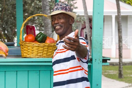1.5 Hour Bahamas Special City Tour and Nassau City Tour Package
