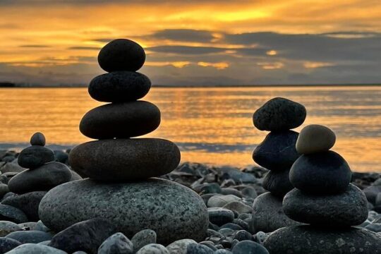Vancouver Pre & Post Cruise City Sightseeing & Airport Drop off