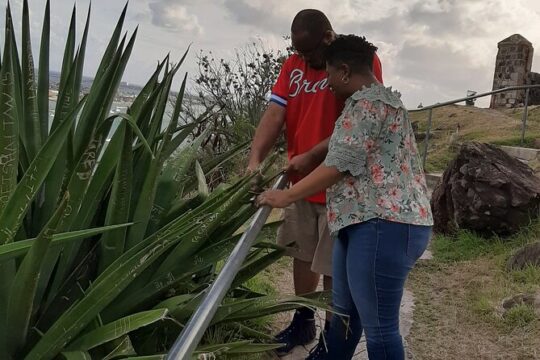 Half-day Tour to St.Maarten Best Island