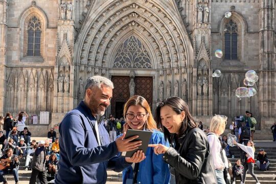 6hr Private Walking Tour in Barcelona with Licensed Guide