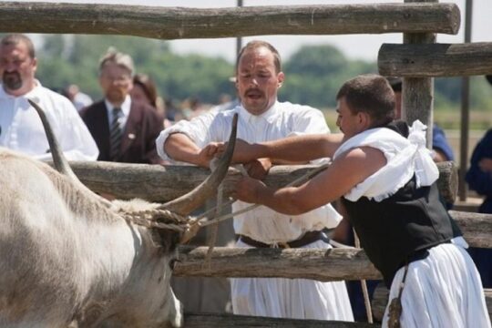 Full-Day Private Tour to Debrecen and Hortobagy National Park from Budapest