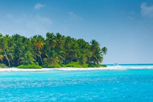 Saona Island Escape Caribbean Paradise Awaits