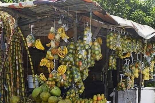 Transportation in and around Ocho Rios Jamaica