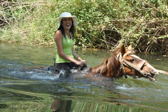 Kusadasi Horse Safari
