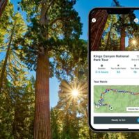 Walking Tours