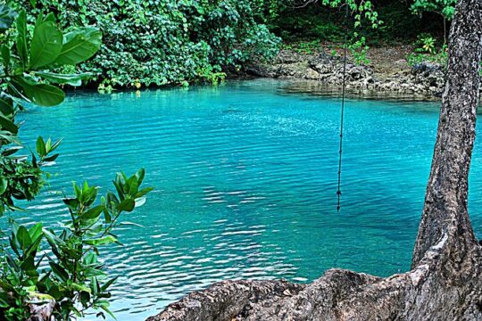 Full-Day Vanuatu Cultural, Blue Lagoon & Eden On The River Tour
