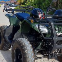 Self-guided Tours & Rentals