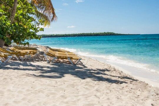 Full-Day Catalina Island Snorkeling Tour from Bavaro