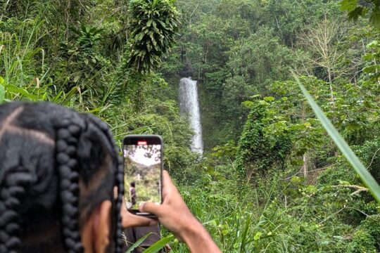 Authentic Jamaica A Local's Guide Tour