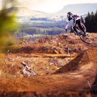 Bike Rentals