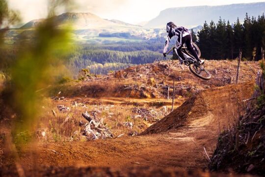 Half-Day Self-Guided Mountain Bike Journey through Whakarewarewa Redwood Forest