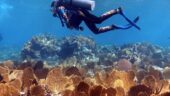 Exuma Cays 5 day sail