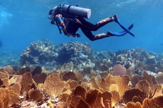 5-Day, 4 nights Catamaran Adventure in the Exumas